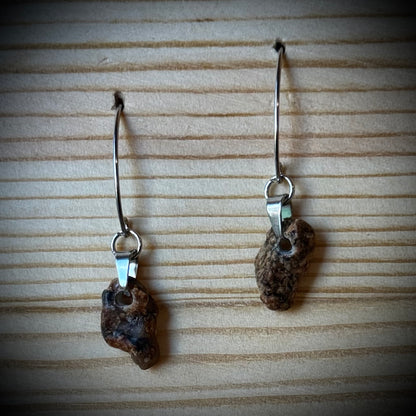 Assorted Vermont River Rock Dangle Earrings