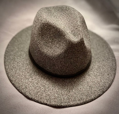 Gray Potted Succulent Fedora