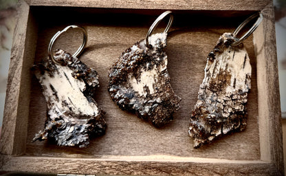 White Birch Bark Keychains