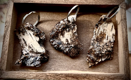 White Birch Bark Keychains