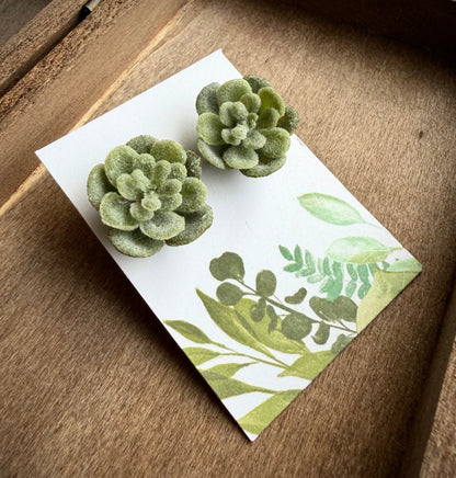 Succulent Post Earrings