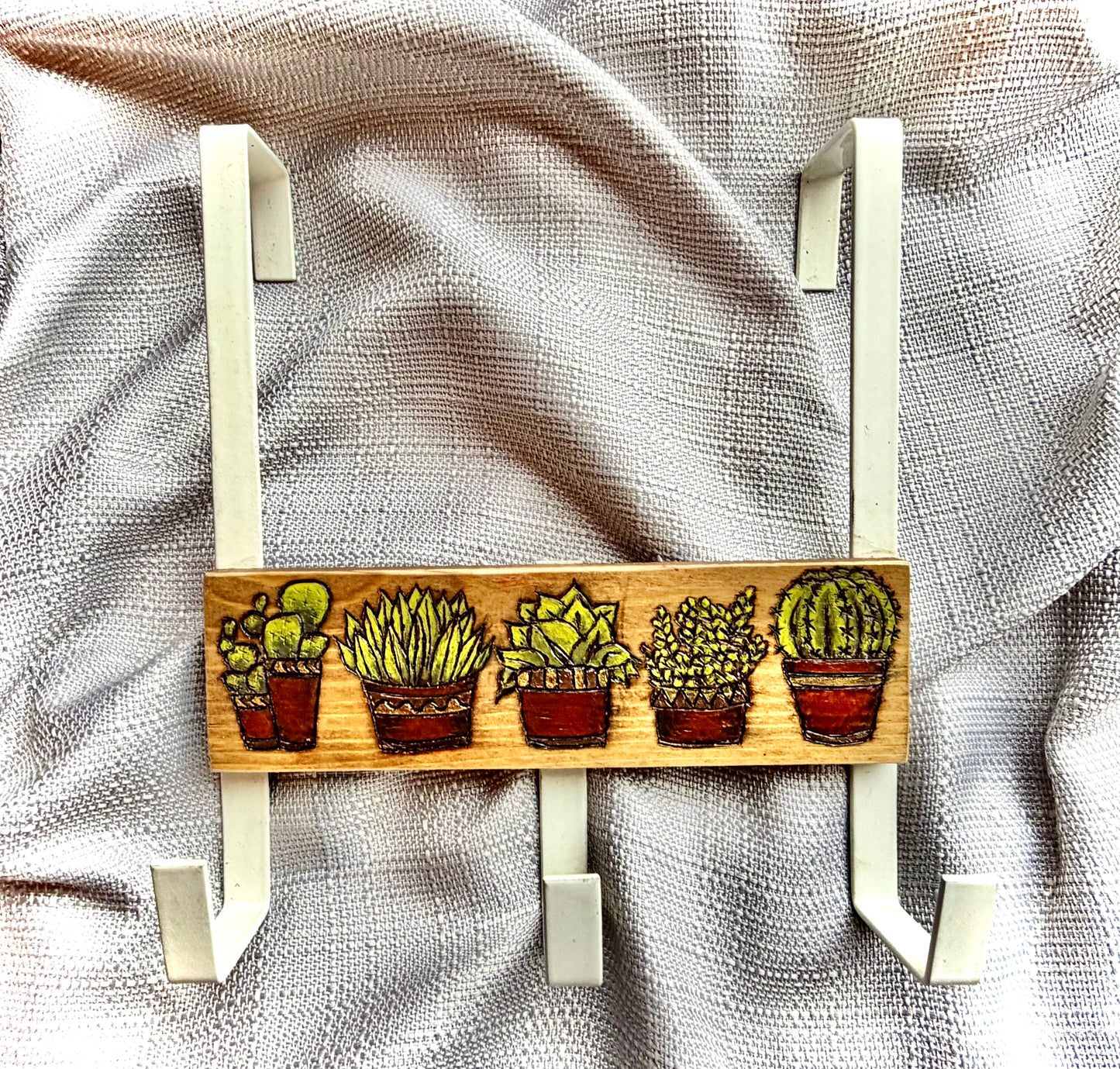 Succulent Over Door Hanger