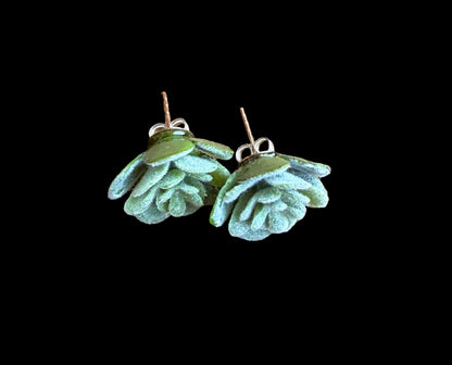 Succulent Post Earrings